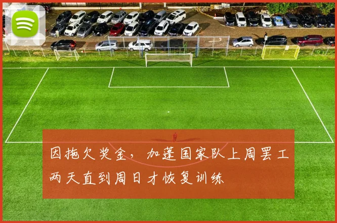 因拖欠奖金，加蓬国家队上周罢工两天直到周日才恢复训练