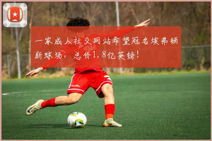 一家成人社交网站希望冠名埃弗顿新球场，总价1.8亿英镑！